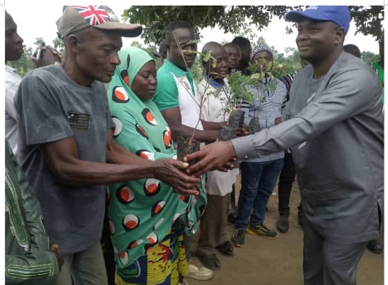 Distribution semences